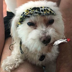 Meet your Posher, Crystal